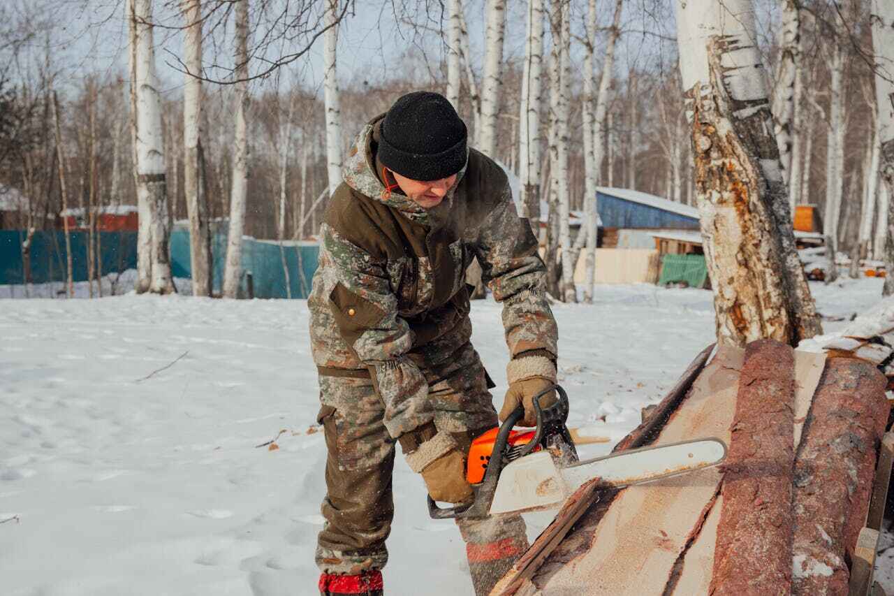 Best Residential Tree Removal  in Seymour, TX